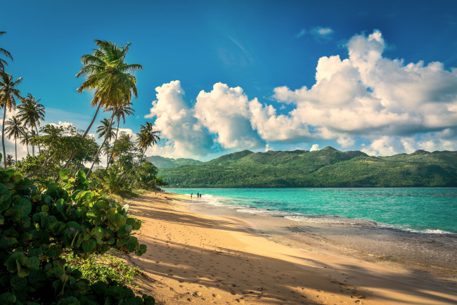 Обои картинки фото природа, тропики, курорт