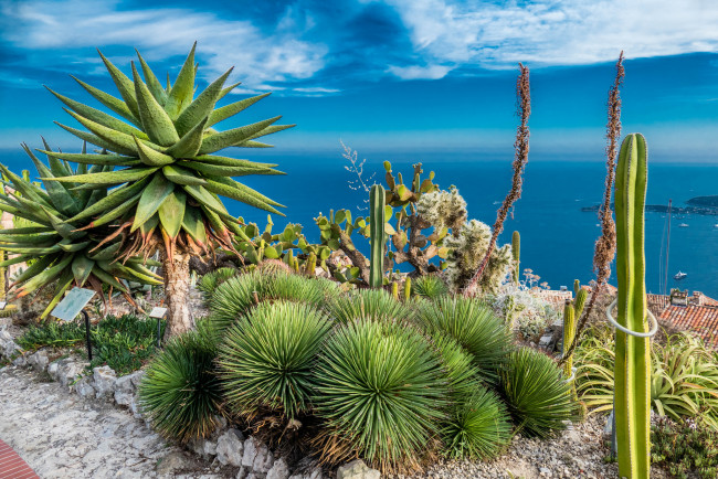 Обои картинки фото природа, тропики, курорт