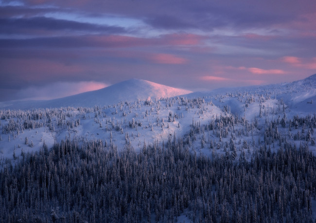Обои картинки фото природа, пейзажи, лес, холмы, снег