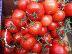 Картинка еда помидоры томаты