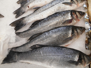 Картинка еда рыба +морепродукты +суши +роллы