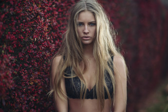 Картинка девушка девушки -unsort+ блондинки +светловолосые модель