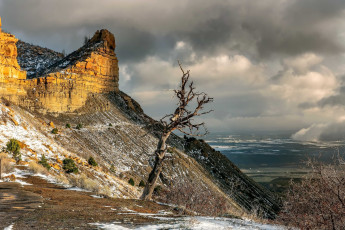 Картинка природа горы гора дерево