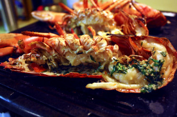 Картинка еда рыбные+блюда +с+морепродуктами лобстер