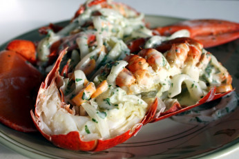 Картинка еда рыбные+блюда +с+морепродуктами лобстер