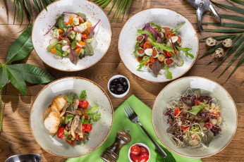 Картинка еда салаты +закуски снедь