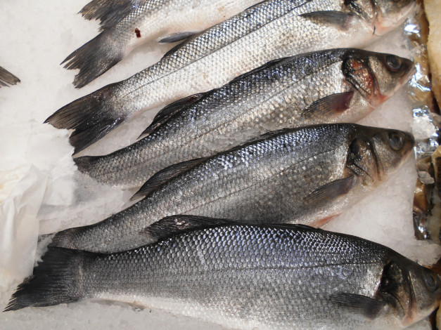 Обои картинки фото еда, рыба,  морепродукты,  суши,  роллы