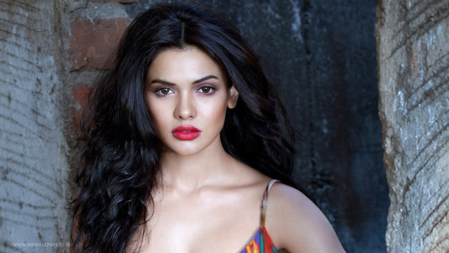 Обои картинки фото девушка, девушки, -unsort , лица,  портреты, модель, sara, loren