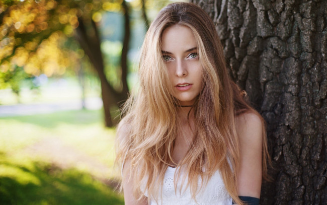 Обои картинки фото девушка, девушки, -unsort , блондинки,  светловолосые, модель
