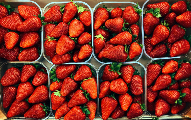 Обои картинки фото еда, клубника,  земляника, ягоды