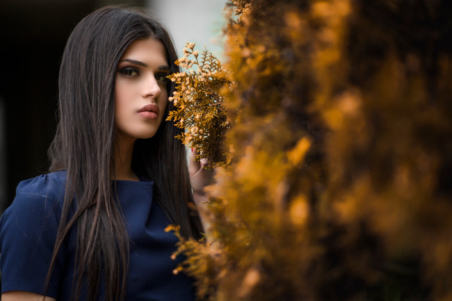 Обои картинки фото девушка, девушки, -unsort , брюнетки, темноволосые, модель