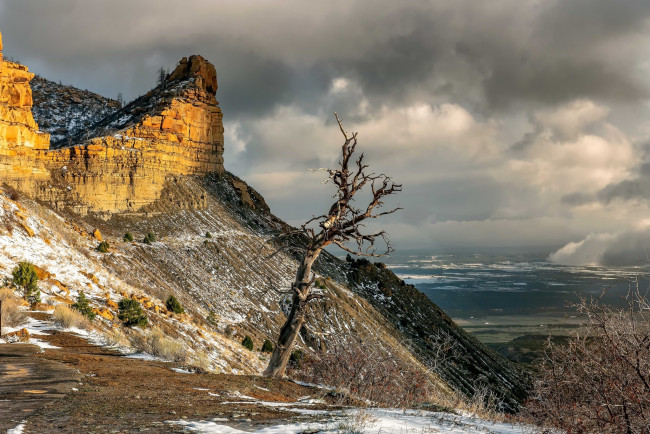 Обои картинки фото природа, горы, гора, дерево