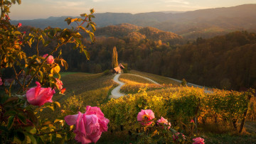 Картинка природа пейзажи словения