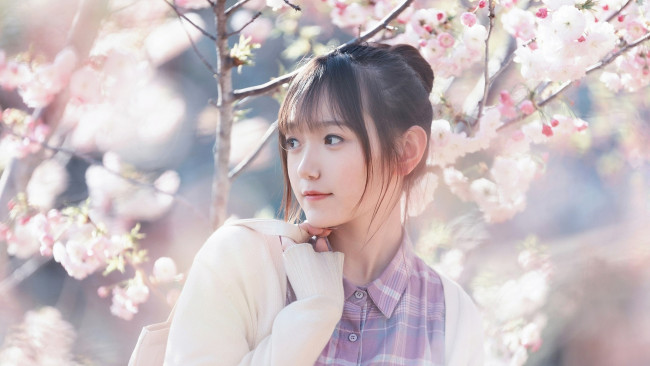 Обои картинки фото девушки, - азиатки, азиатка, цветущий, сад