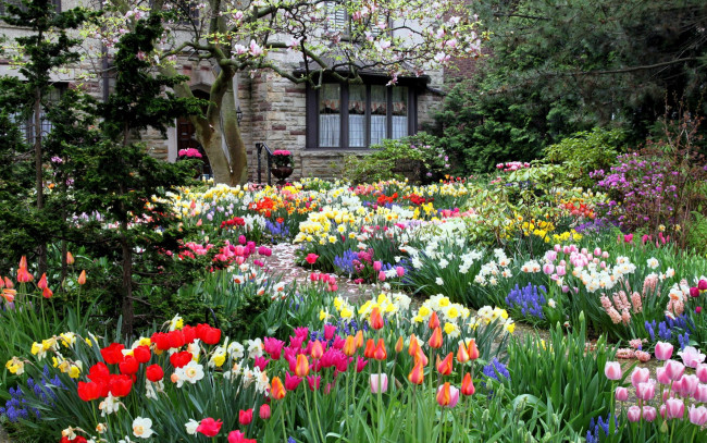 Обои картинки фото цветы, разные вместе, цветник