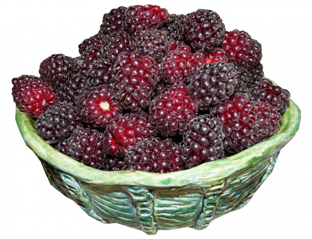 Обои картинки фото еда, ежевика, ягоды, миска