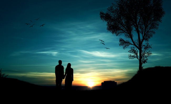 Обои картинки фото разное, мужчина женщина, пара, закат, силуэты, птицы, дерево
