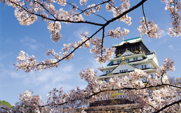 обоя nagoya castle, города, замки японии, nagoya, castle