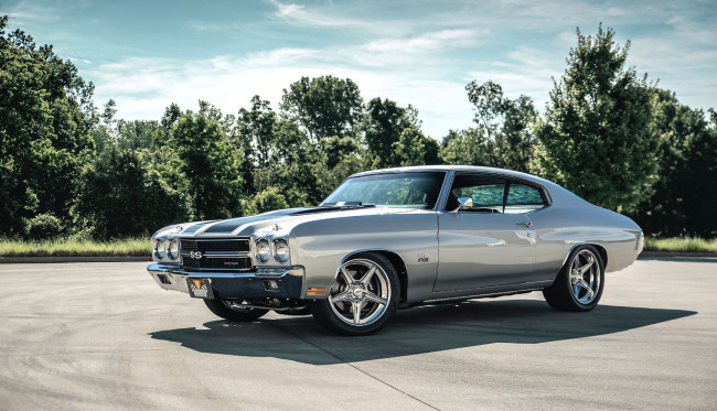 Обои картинки фото chevrolet chevelle, автомобили, chevrolet, серебристый, площадка, деревья