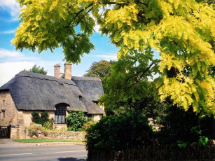 Картинка города здания дома