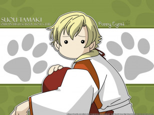 Картинка аниме ouran high school host club