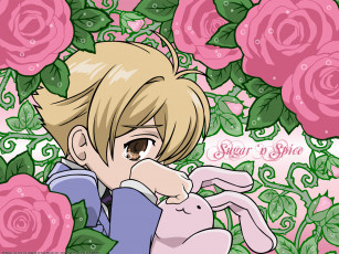Картинка аниме ouran high school host club
