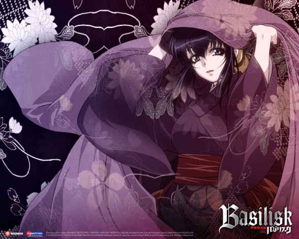 Обои картинки фото аниме, basilisk