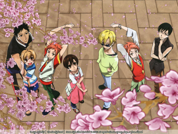 Обои картинки фото аниме, ouran, high, school, host, club