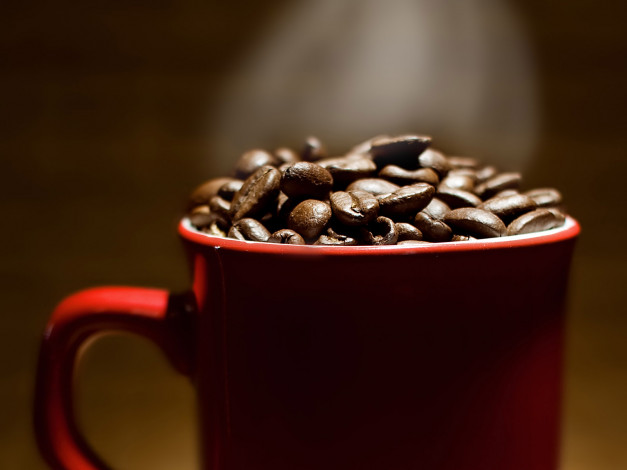 Обои картинки фото еда, кофе, кофейные, зёрна