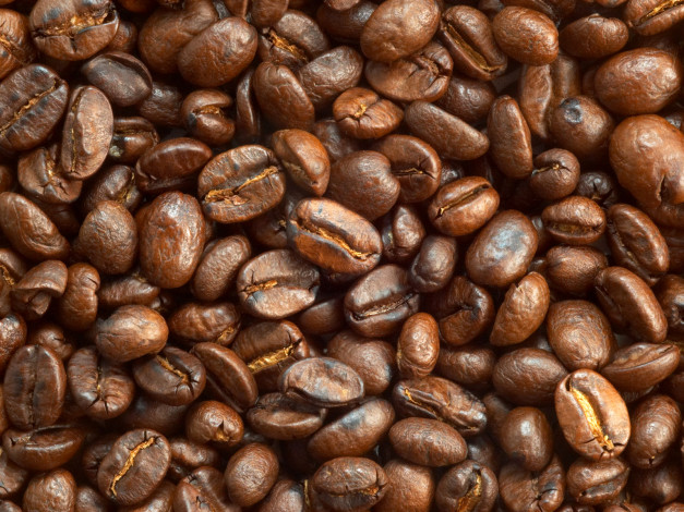 Обои картинки фото еда, кофе, кофейные, зёрна