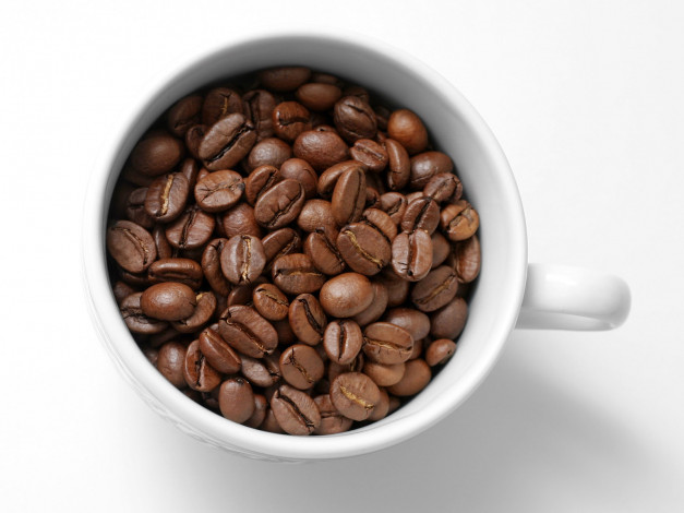 Обои картинки фото еда, кофе, кофейные, зёрна
