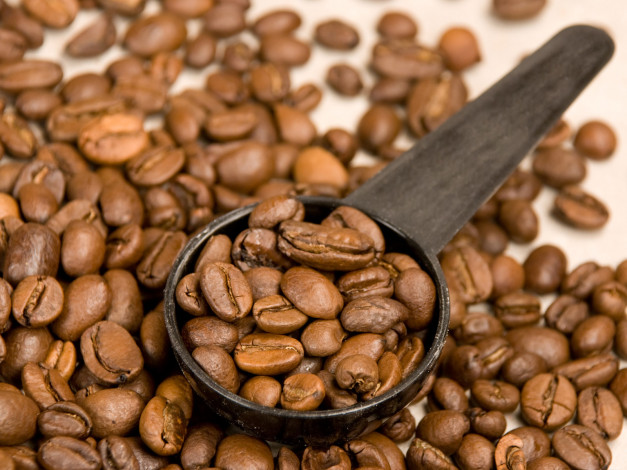 Обои картинки фото еда, кофе, кофейные, зёрна