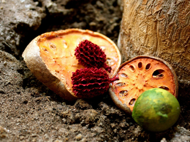 Обои картинки фото разное, другое