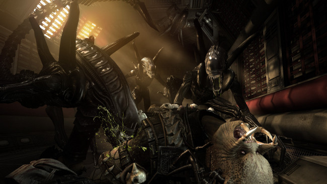 Обои картинки фото aliens, vs, predator, кино, фильмы, requiem