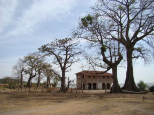 Картинка разное сооружения постройки здания животные деревья
