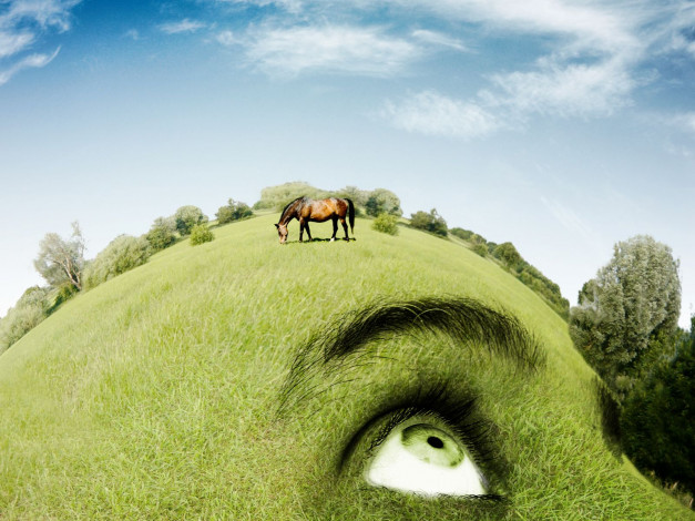 Обои картинки фото разное, компьютерный, дизайн, лошадь