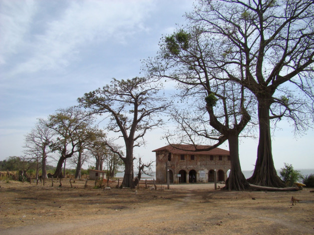 Обои картинки фото разное, сооружения, постройки, здания, животные, деревья