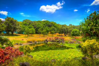 Картинка природа парк пейзаж