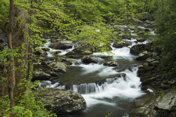 Картинка природа реки озера америка соединённые штаты лес вода