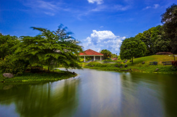 Картинка природа парк пейзаж