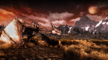 Картинка видео игры the elder scrolls skyrim дракон