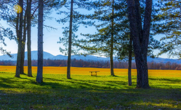 Картинка тоскана италия природа деревья пейзаж весна