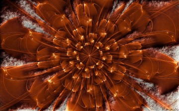 Картинка 3д графика flowers цветы лепестки