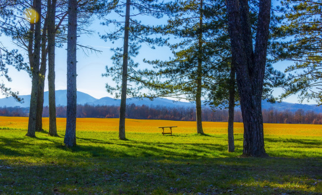 Обои картинки фото тоскана, италия, природа, деревья, пейзаж, весна