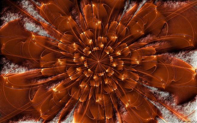 Обои картинки фото 3д, графика, flowers, цветы, лепестки