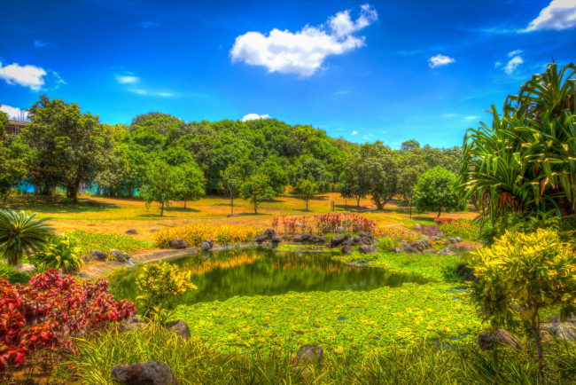 Обои картинки фото природа, парк, пейзаж