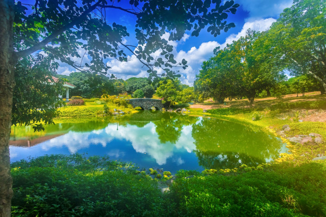 Обои картинки фото природа, парк, пейзаж