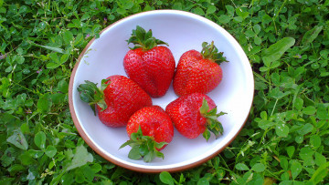 Картинка еда клубника +земляника ягоды