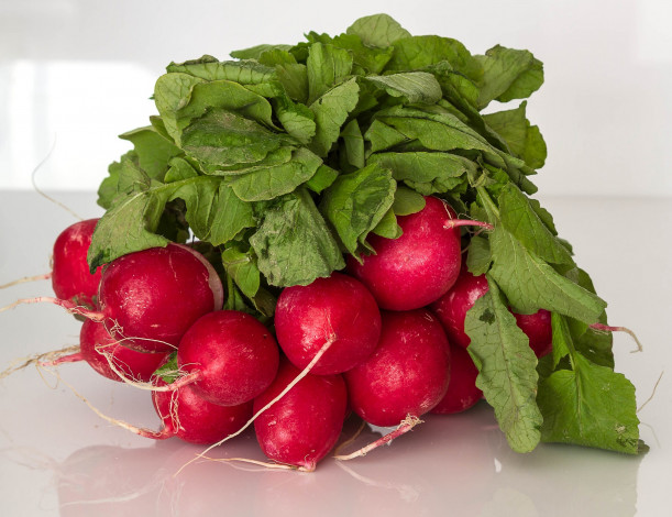Обои картинки фото еда, редис,  репа,  редька, листья, пучок, редиска