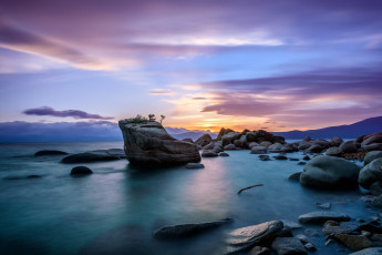 Картинка природа побережье вечер сша бонсай камни скалы тахо озеро